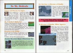 Final Fantasy II (USA) (Rev 1) manual-23.jpg