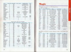 Final Fantasy II (USA) (Rev 1) manual-38.jpg