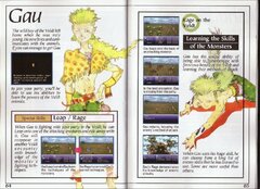 Final Fantasy III (USA) (Rev 1) manual-33.jpg