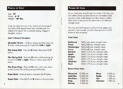 Final Fight (USA) manual-5.jpg