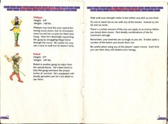 Final Fight 2 (USA) manual-11.jpg