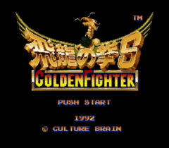 Hiryuu No Ken S - Golden Fighter.gif
