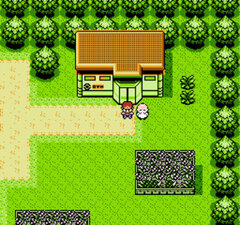 Pokemon Yellow (demake) 018.jpg