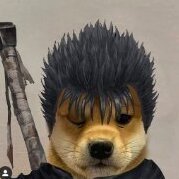 Doge51