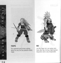 Breath of Fire III (USA) manual_page-0027.jpg