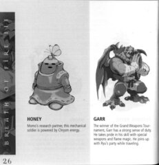 Breath of Fire III (USA) manual_page-0029.jpg