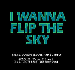 I Wanna Flip The Sky_002.jpg