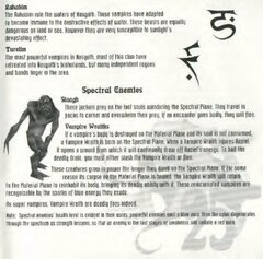 Legacy of Kain - Soul Reaver (USA) manual_page-0027.jpg