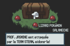 Pokemon Light Platinum (En, Fr) 024.jpg