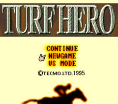 Turf Hero 001.jpg