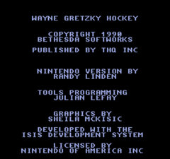 Wayne Gretzky Hockey_001.jpg