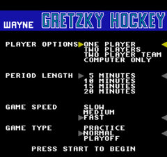 Wayne Gretzky Hockey_003.jpg