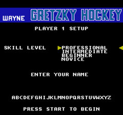 Wayne Gretzky Hockey_004.jpg