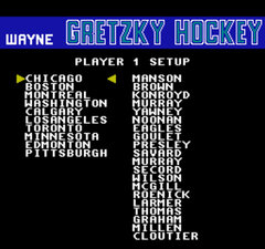 Wayne Gretzky Hockey_005.jpg