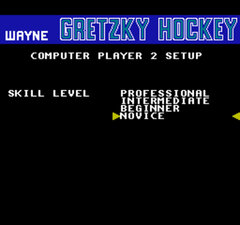 Wayne Gretzky Hockey_006.jpg