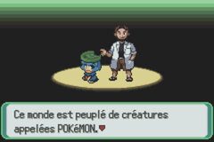 Moemon Version Emeraude DX (French) gameplay image 004.jpg