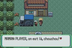 Moemon Version Emeraude DX (French) gameplay image 009.jpg