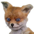 Foxxeek