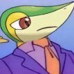 pipoulle