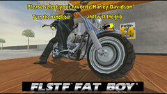 Harley-Davidson & L.A. Riders (MODEL 3) 003.jpg