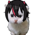 Noto2D