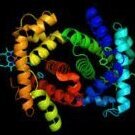 Proteine78