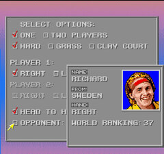 David Crane's Amazing Tennis 002.jpg