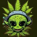 marley41