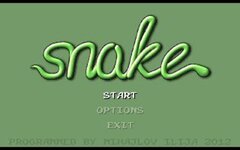 Snake screenshot.jpg