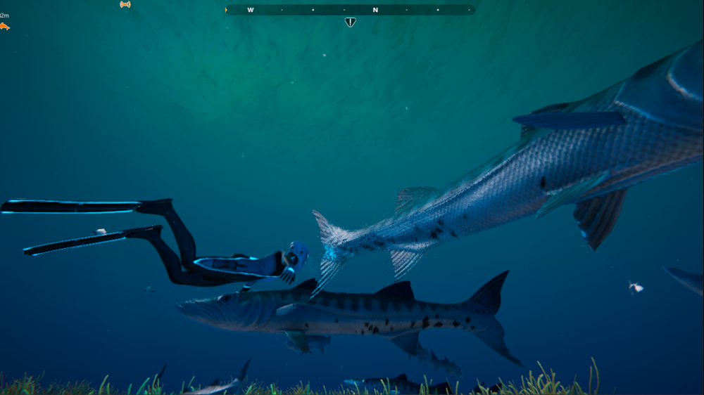 Capture d’écran 2024-06-30 032239.png