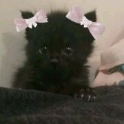 ingridfischh