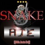 Snake70