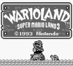 Wario3 1.png