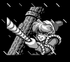 Zelda 2.png