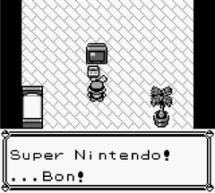 pkmon rouge3.png