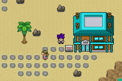Pokémon Mega Power - Screenshot 015.jpg