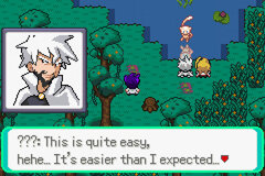 Pokémon Mega Power - Screenshot 018.jpg
