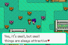 Pokémon Mega Power - Screenshot 020.jpg