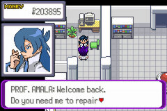 Pokémon Mega Power - Screenshot 040.jpg