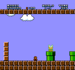 Hammer Mario Bros_003.png