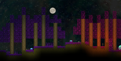 PurpleViolet.png