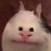 Thitiroux