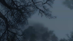 20250107004506.png