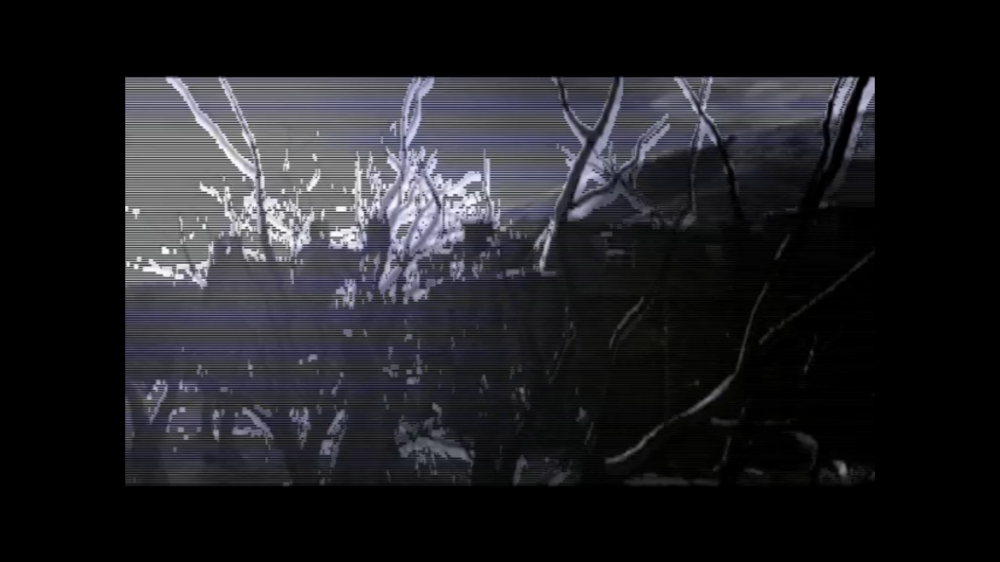 Capture d’écran (739).png