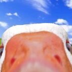 ducksoos