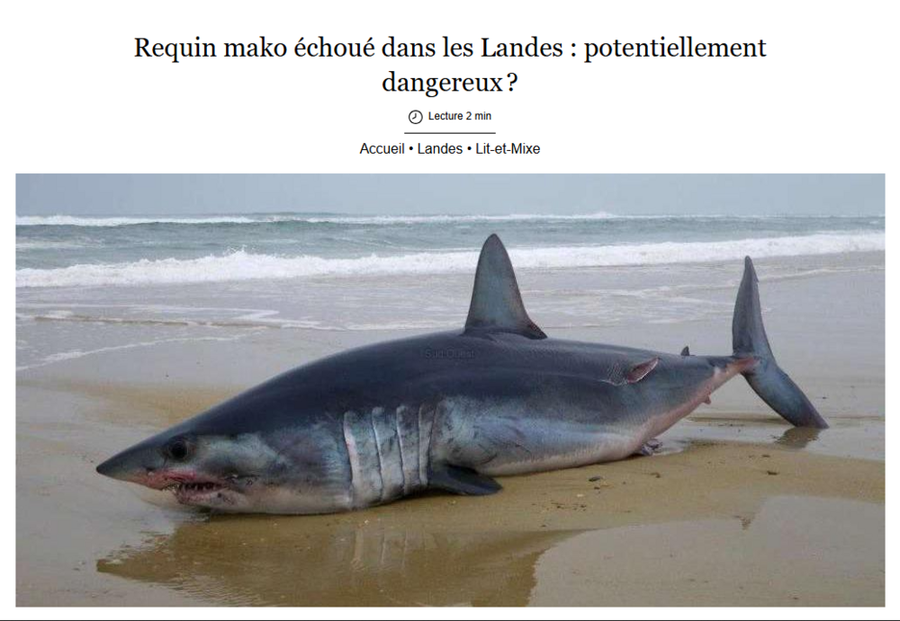 Capture d’écran 2025-04-17 081527.png