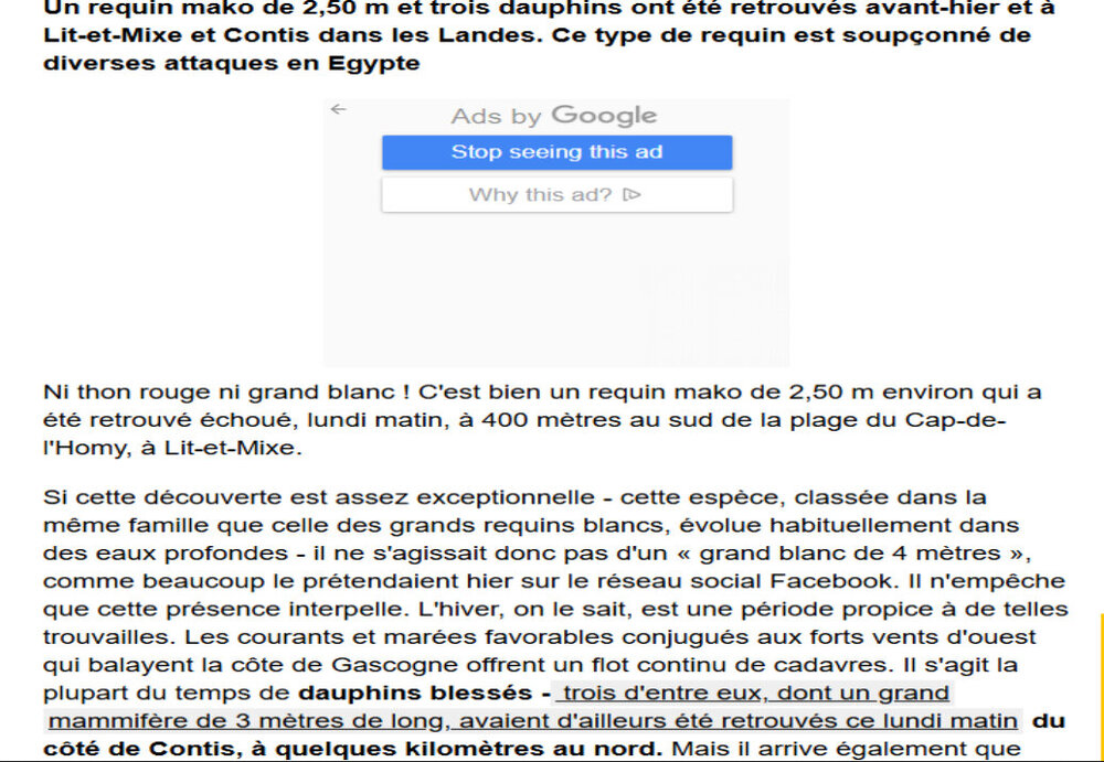 Capture d’écran 2025-04-17 081653.jpg