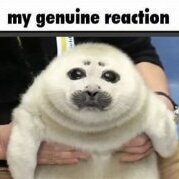 gummyboy300
