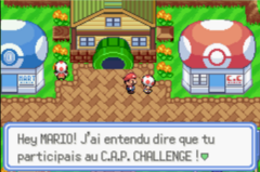Toad Town