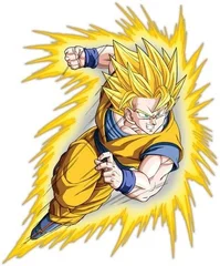 GokuArt(ShinBudokai).png